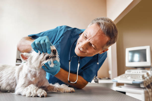 Best Walk-In Emergency Dentist in Abbeville, GA